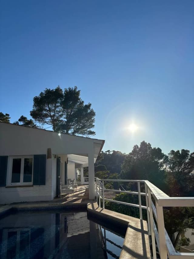 Photo 6 by Aleksandrs B. (5/7/24)