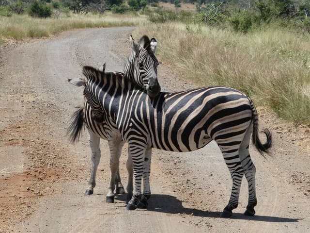 Photo 5 by OSWALD K. (3/10/26)