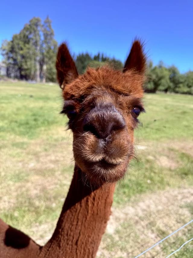 Photo 11 by Jacqueline R. (2/21/26)