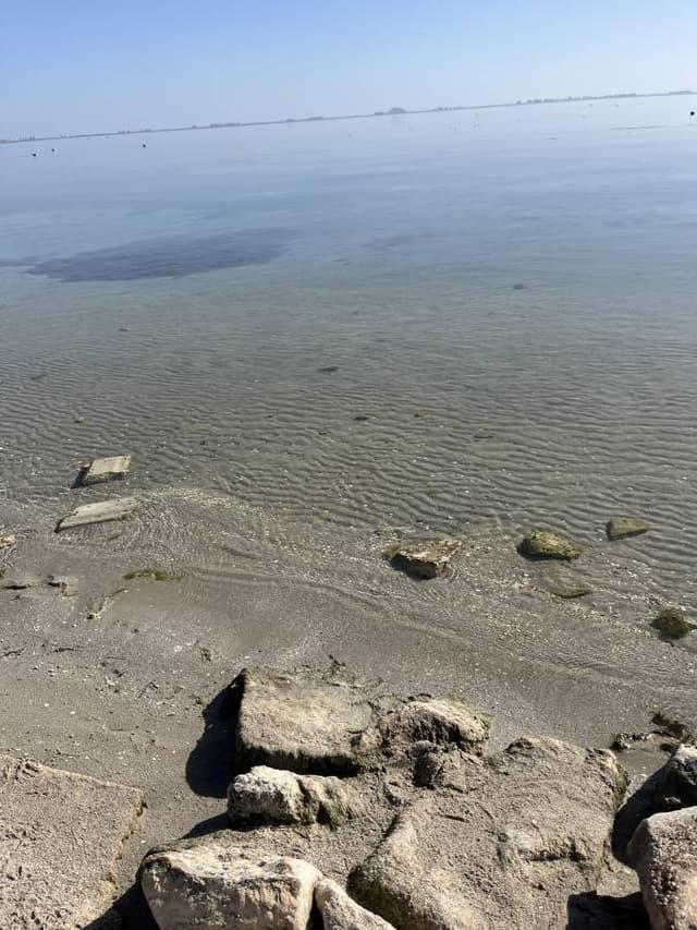 Photo 5 by Wayne F. (2/9/24)