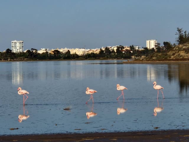 Photo 2 by Louis C. (12/14/25)