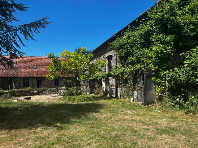 Photo 5 by Robert B. (8/7/25)