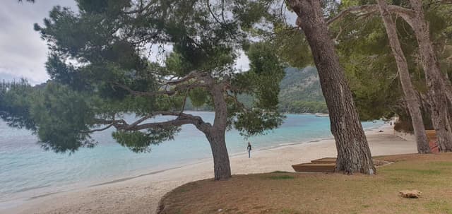 Photo 9 by Doychin D. (4/19/24)