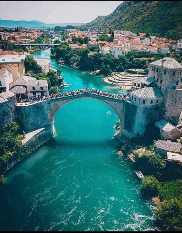 Photo 6 by Anzhela A. (7/11/24)