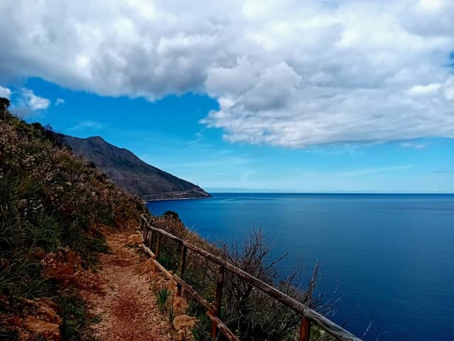 Photo 2 by franco C. (3/19/26)