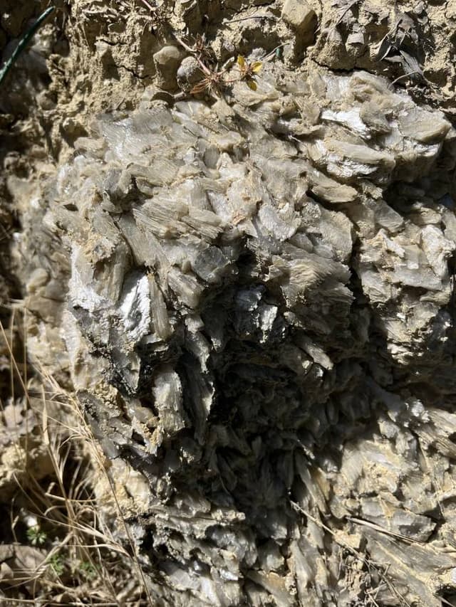 Photo 5 by Mikhail S. (7/2/24)