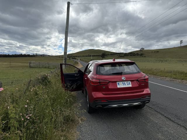 Photo 4 by Saroj A. (12/8/25)