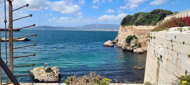 Photo 7 by Zouheir T. (4/21/25)