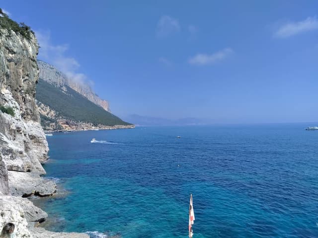 Photo 7 by Cristian B. (7/16/24)