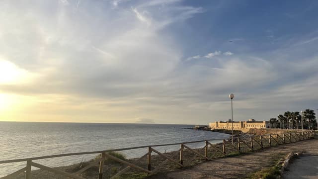 Photo 7 by Oleksandr V. (10/13/24)