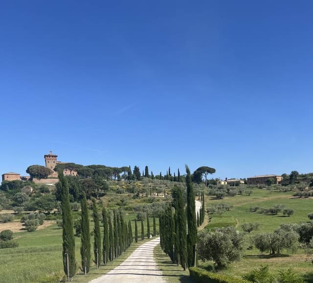 Photo 5 by Cristian M. (6/4/25)