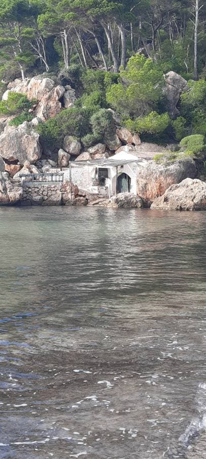 Photo 4 by Bruno G. (10/22/23)