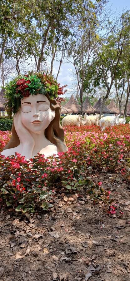 Photo 11 by steven M. (3/22/26)