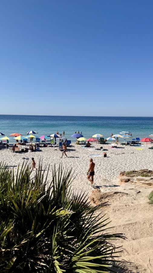 Photo 4 by Liviu A. (7/6/25)