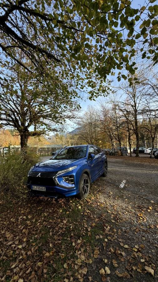 Photo by Beatriz B. (10/30/24)