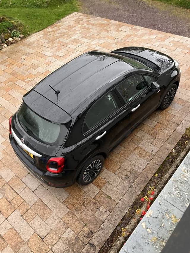 Photo 4 by Roy D. (10/26/24)