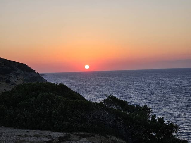 Photo by Villu V. (7/2/24)