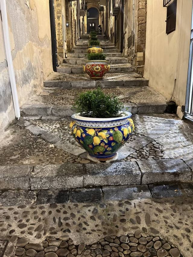 Photo 7 by Tereza B. (10/13/24)