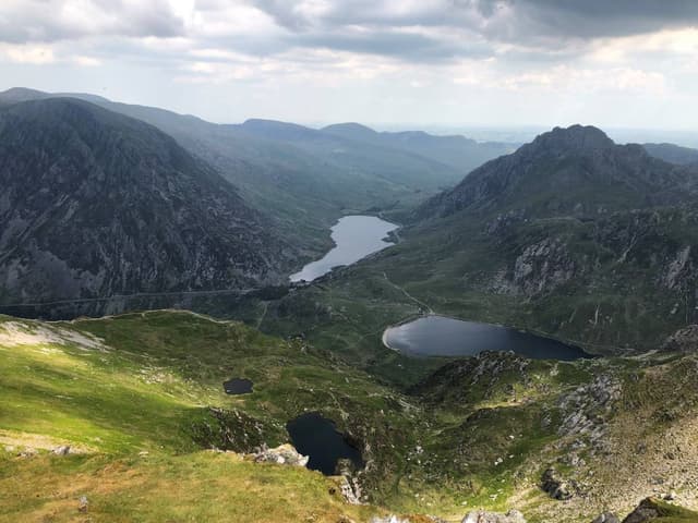 Photo by Dick S. (6/19/23)