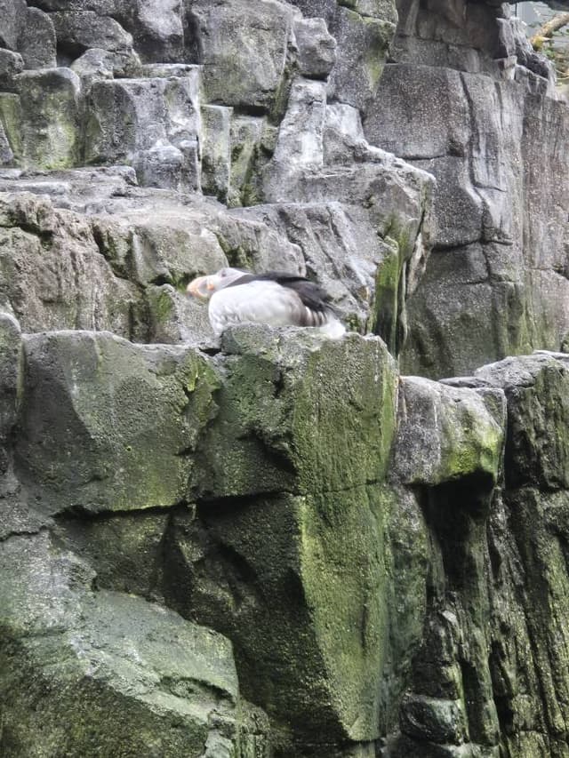 Photo 5 by Marcelo Alexandre C. (8/21/24)