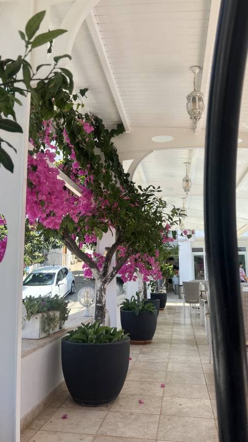 Photo by Arthur A. (7/11/23)