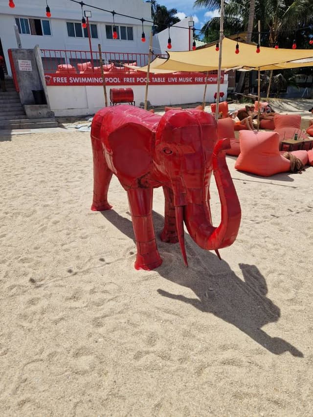 Photo 4 by Jason M. (8/11/24)