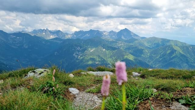 Photo 4 by Aleksandrs M. (7/13/24)