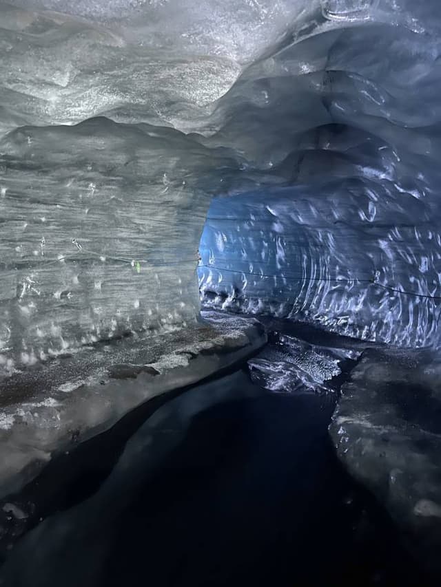 Photo 5 by Jenna H. (11/14/24)