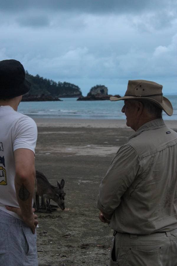 Photo 8 by Thomas P. (12/4/24)