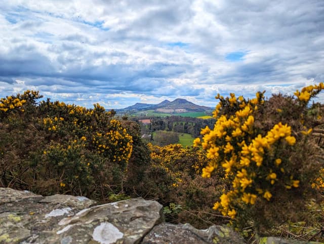 Photo 5 by Lesli Q. (8/7/24)