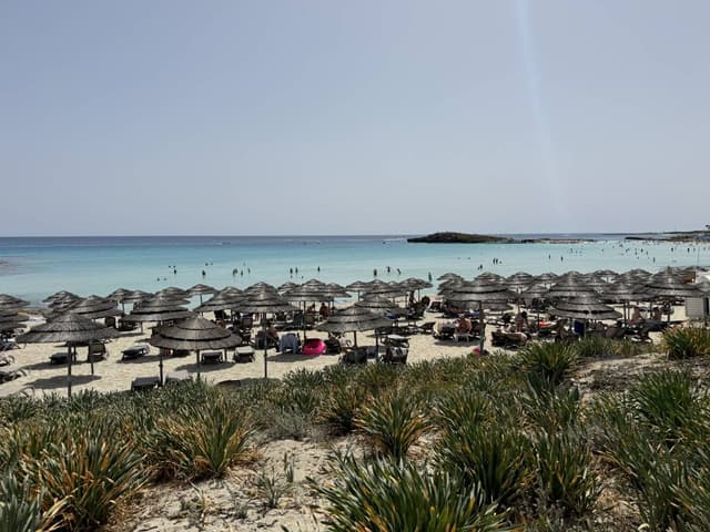 Photo by Daiga Z. (4/26/24)