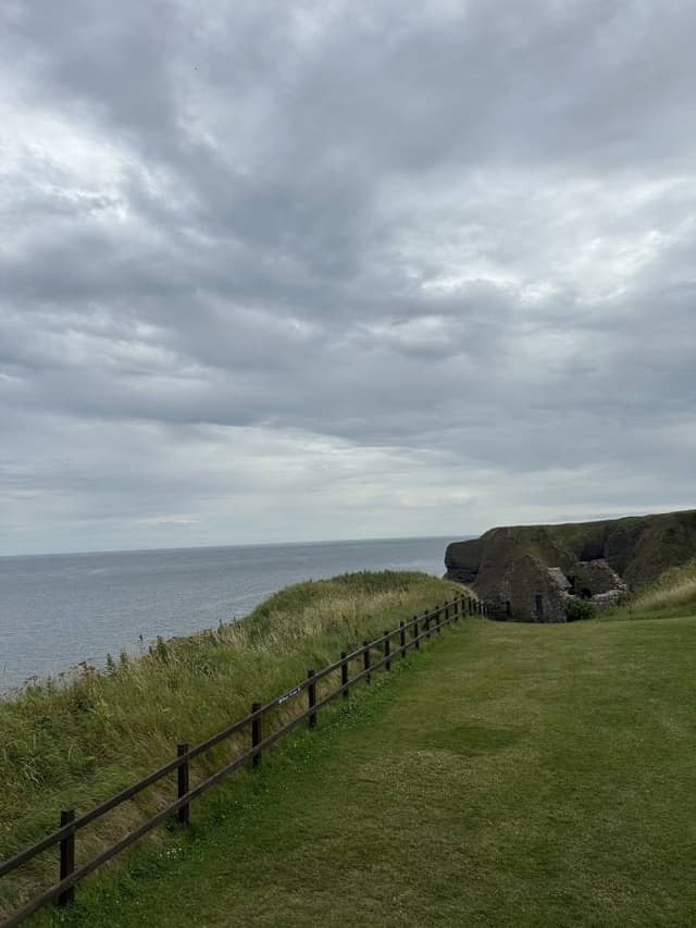 Photo 7 by Silje M. (7/11/25)