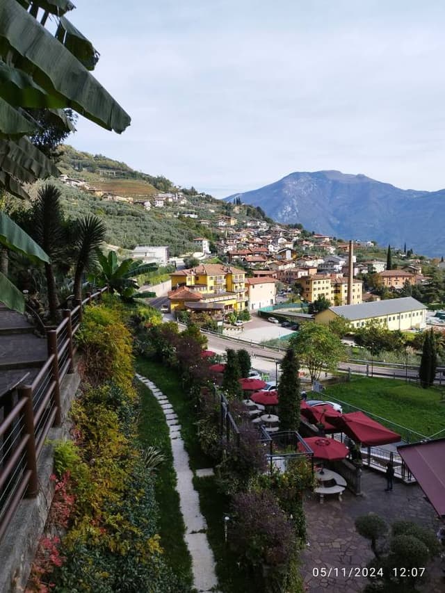 Photo 3 by Alexander A. (11/7/24)