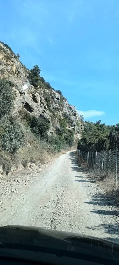 Photo 3 by Michal N. (8/11/24)