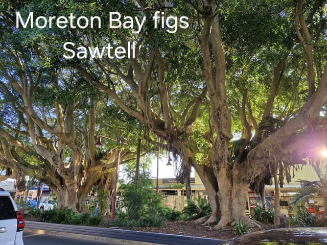 Photo 2 by Russell H. (6/15/25)