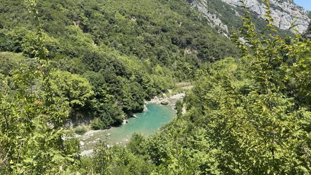 Photo 3 by Jitse H. (8/5/24)