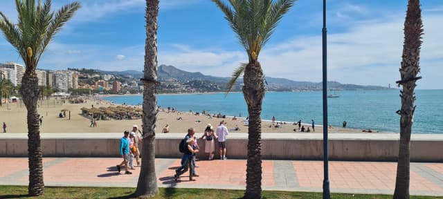 Photo 8 by Zouheir T. (4/21/25)