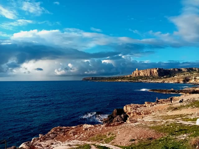 Photo 3 by franco C. (3/19/26)