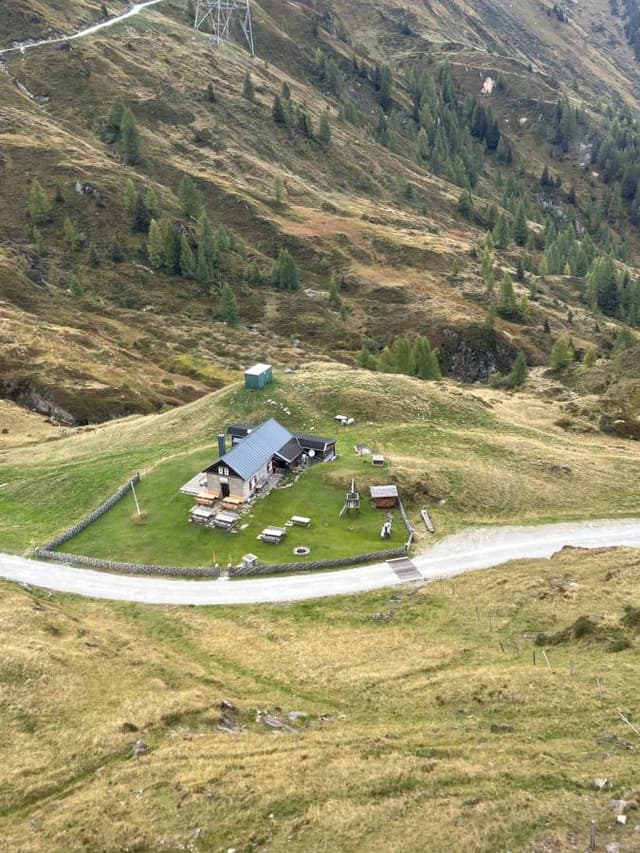 Photo 1 by SAMIR A. (10/20/23)