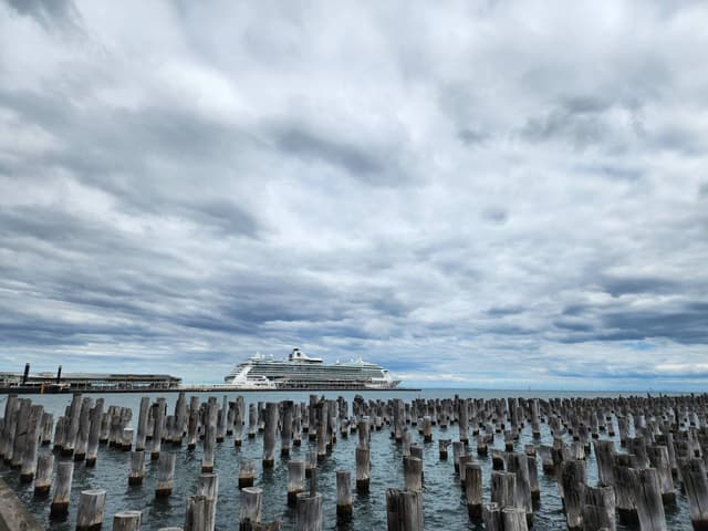 Photo 7 by Teng Hong T. (12/17/23)