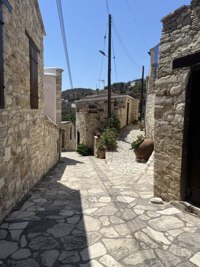 Photo 2 by yuval S. (8/15/25)