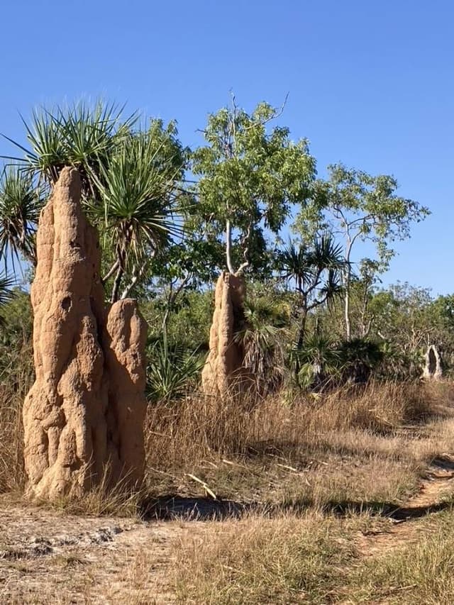 Photo 4 by Ann P. (9/7/23)