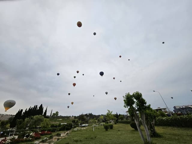 Photo 2 by Simon K. (5/15/24)