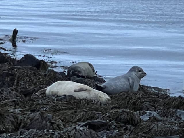 Photo 6 by Jenna H. (11/14/24)