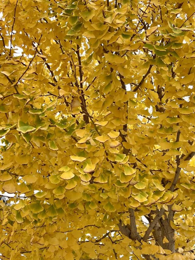 Photo 8 by Dan C. (6/19/24)