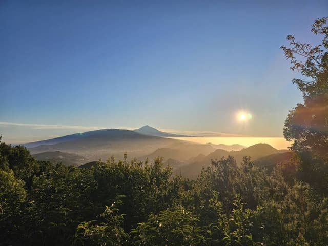 Photo 2 by Kaspar T. (10/25/24)