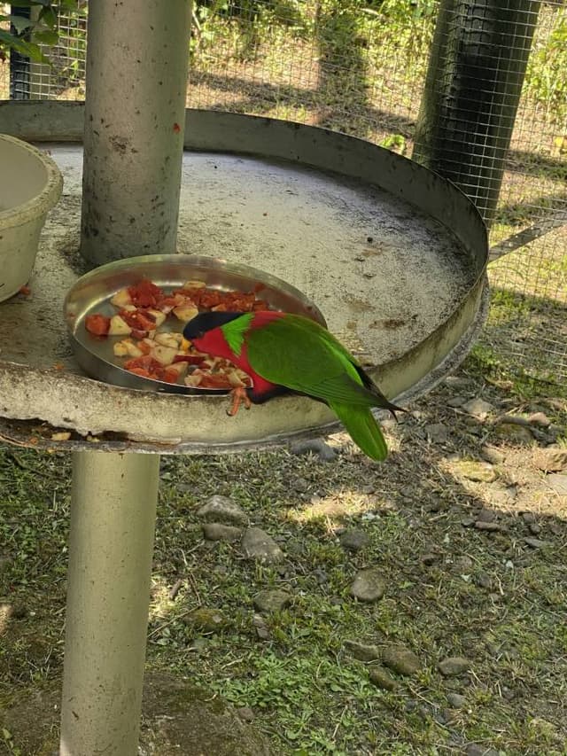 Photo 6 by Kelvin J. (4/30/24)