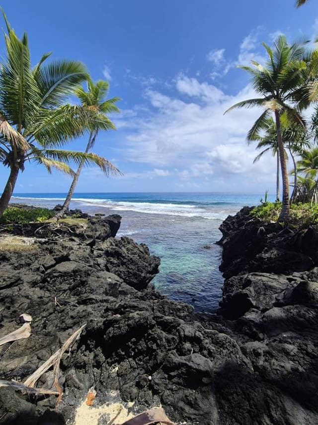 Photo by Asha V. (3/9/25)