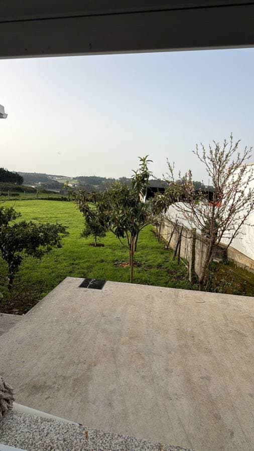 Photo 5 by Porfirio D. (3/21/26)