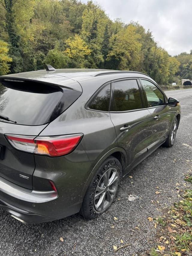 Photo by Siu Wah L. (11/10/25)